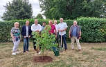 50 Jahre Petterweil - Lindenpflanzung