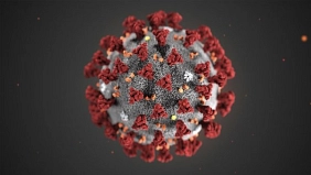 Coronavirus © Uncredited/Centers for Disease Control and Prevention