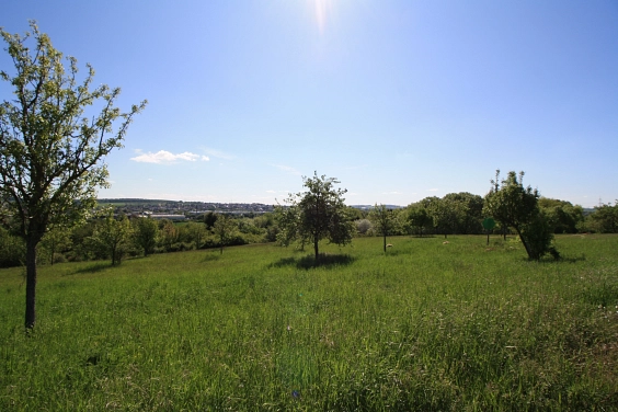 Naturschutzgebiet Pfingstweide&nbsp;&copy;&nbsp;Stadt Karben