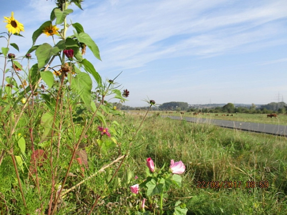 Regionalpark Niddaroute