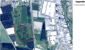 NSG Pfingstweide und Kloppenheimer Wäldchen&nbsp;&copy;&nbsp;Stadt Karben