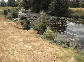 Renaturierung im Bereich des Altarms&nbsp;&copy;&nbsp;Stadt Karben