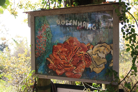 Rosenhang in Karben