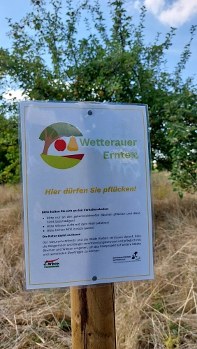 Wetterauer Ernte(n) - Streuobstwiesen erleben in Karben © Stadt Karben