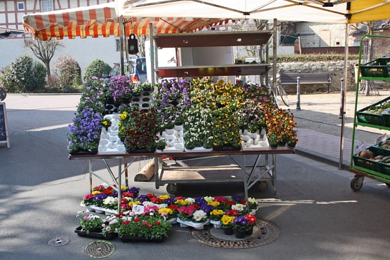 Wochenmärkte